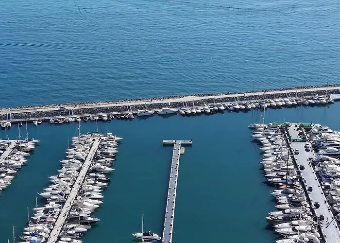 Dentro De Puerto Banus
